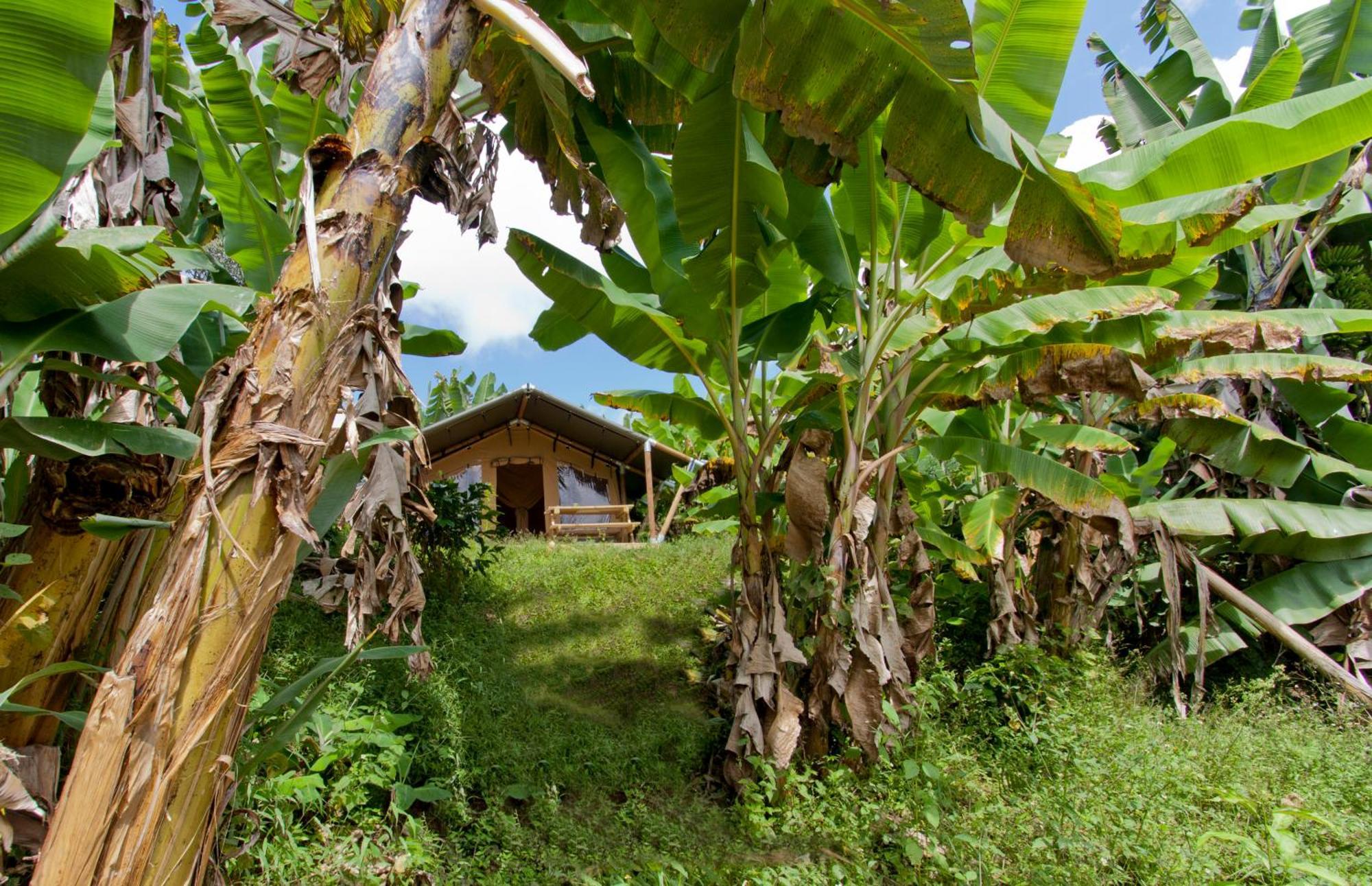 Hotel Glamping Jardín Exterior foto
